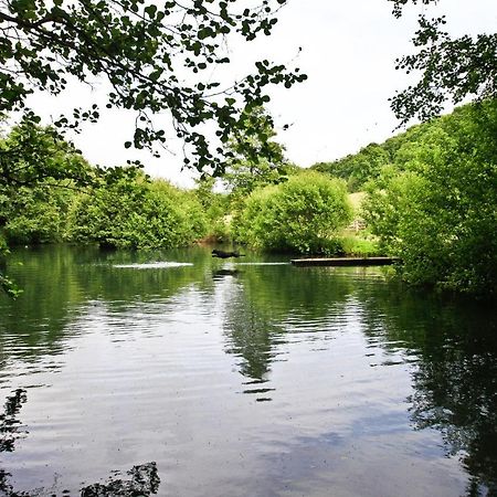 Oxbridge Farm Panzió Netherbury Kültér fotó