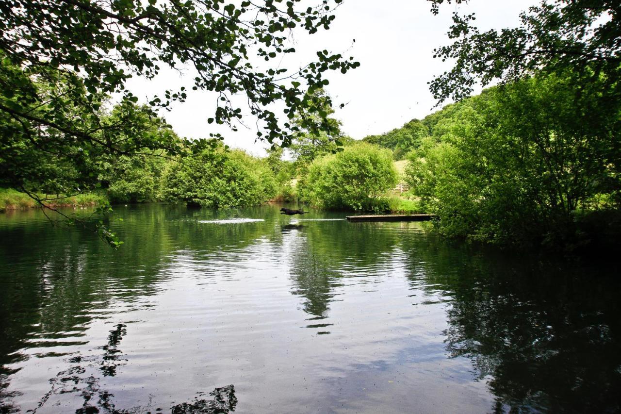 Oxbridge Farm Panzió Netherbury Kültér fotó